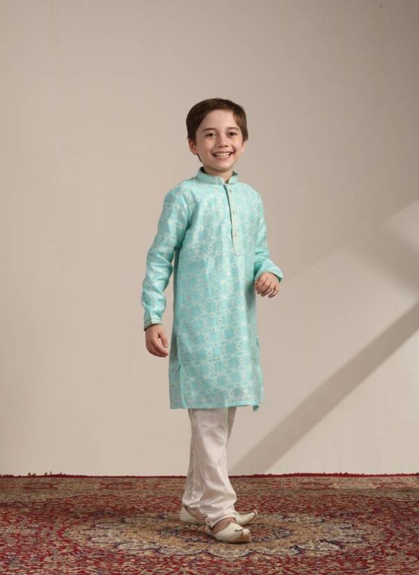 Boys Festive & Party Kurta and Pyjama Set??(Green Pack of 1)
