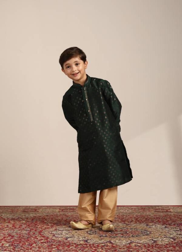 Boys Festive & Party Kurta and Pyjama Set??(Green Pack of 1)